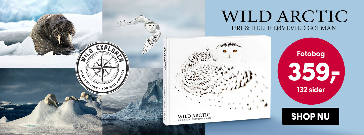 WILD_EXPLORER_1400x520px_DK_S2025.jpg